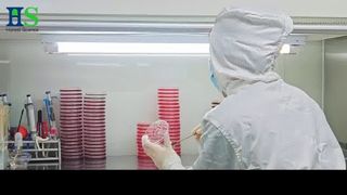ELASEM® 卵殻膜シリーズ：関節の健康と美容のための原料ソリューション